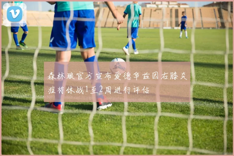 森林狼官方宣布爱德华兹因右膝炎症将休战1至2周进行评估