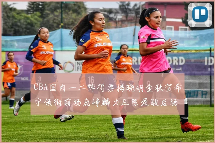 CBA国内一二阵得票揭晓胡金秋贺希宁领衔前场庞峥麟力压陈盈骏后场