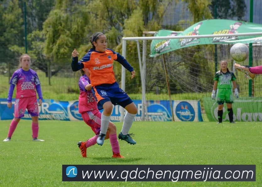 多媒体互动体验