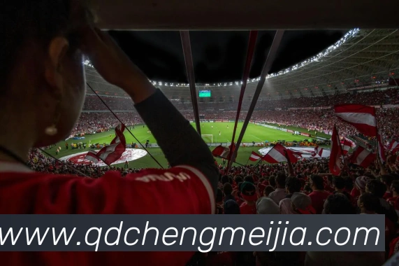 星空体育官方链接APP 高清赛事图